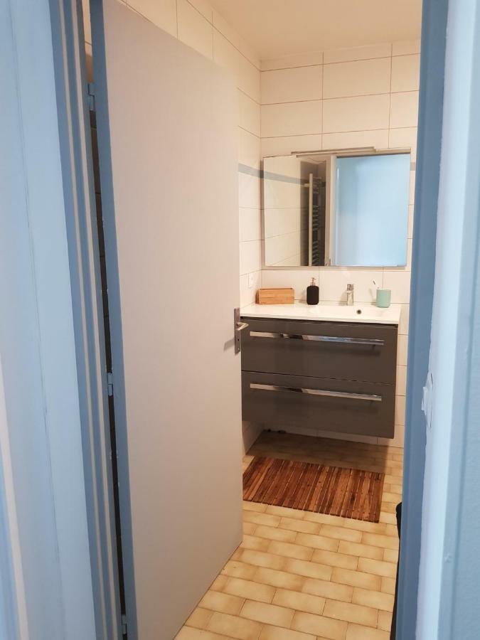 Appartement Centre Ville Proche Paris Disney Vincennes Transports Joinville-le-Pont Exterior photo